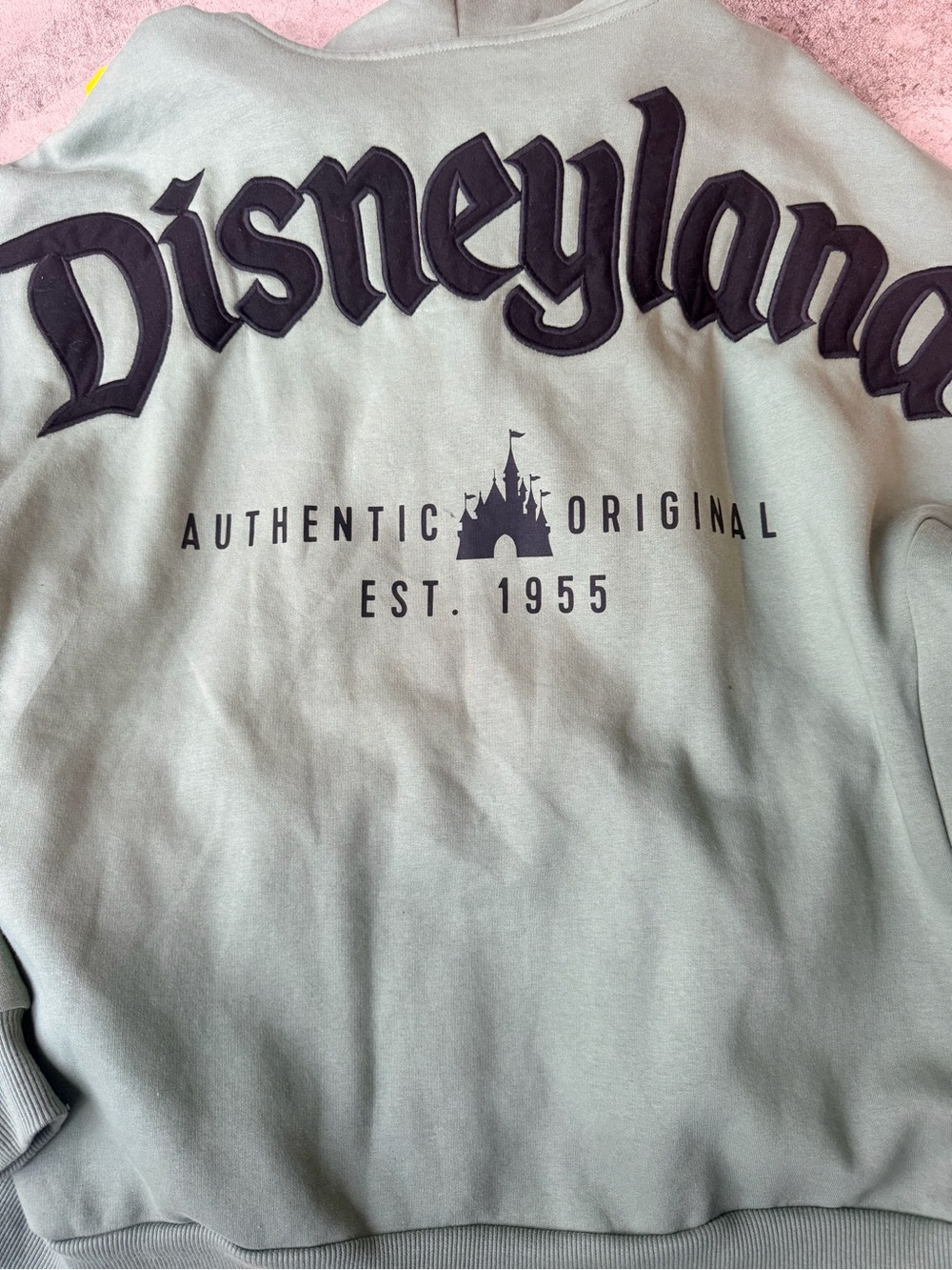 Disney Sage Green Pullover Hoodie with Black Disneyland Script - Picture 2 of 6